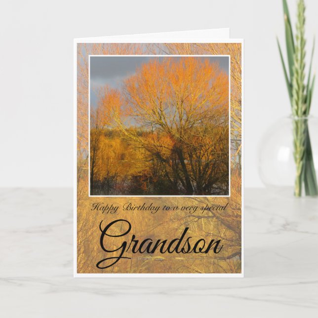 Geburtstag Grandson, Sunkissed Winter Bäume. Karte (Vorderseite)