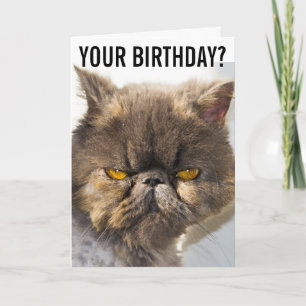 GEBURTSTAG GRUMPY PERSIAN CAT FUNNY Grußkarte Karte