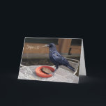 Geburtstag, Grußkarte des jeden Anlasses Karte<br><div class="desc">Das Foto auf dieser Karte zeigt eine schwarze Krähe,  die auf einer Wasserspeise auf einem Picknicktisch gekrönt ist. Die Worte aus dem Mund der Krähe sind "Stephen's 80". Es kann personalisiert sein.</div>