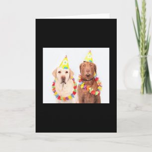 Geburtstag 🎂 Grußkarten zum Verkauf ! Karte