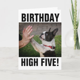 GEBURTSTAG HUND HOCHFÜNF FUNNY CARD KARTE