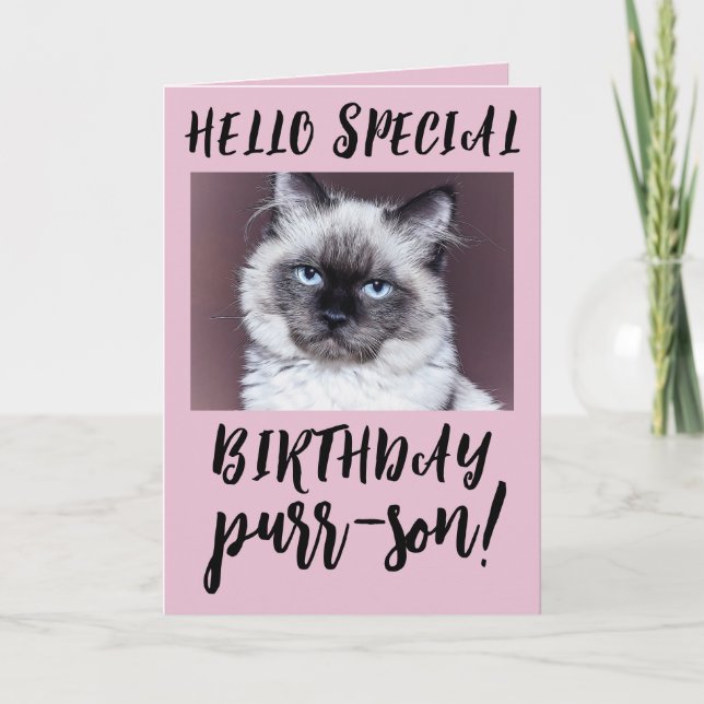 GEBURTSTAG KATSIAMESE PERSIAN GREETING CARD KARTE (Vorderseite)