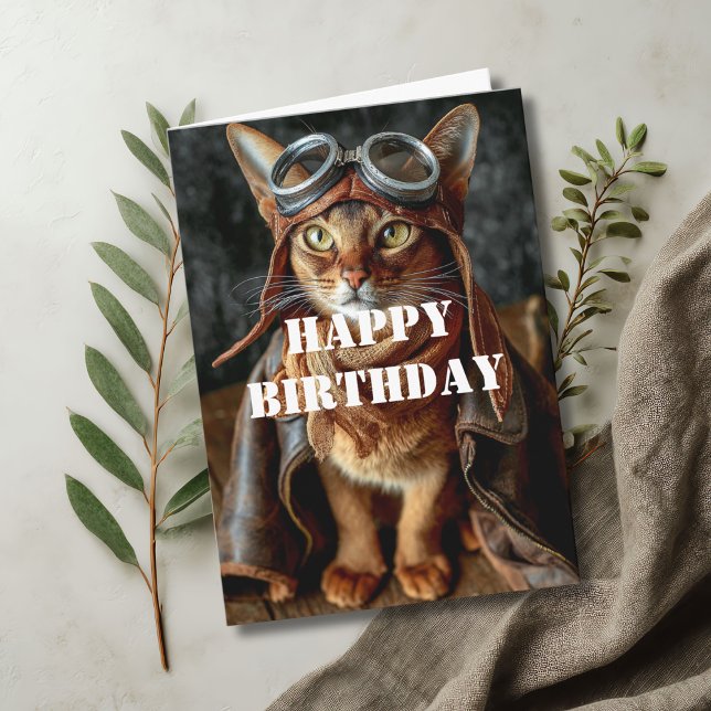 Geburtstag Katzenpilot Flugpilot Cool Lustig Luftf Karte (Von Creator hochgeladen)