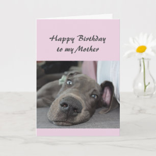 Geburtstag meiner Mutter Spaß Hund Entspannung Hum Karte