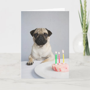 Geburtstag Mops Karte