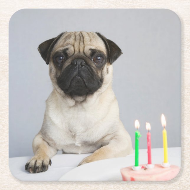 Geburtstag Mops Rechteckiger Pappuntersetzer (Vorderseite)