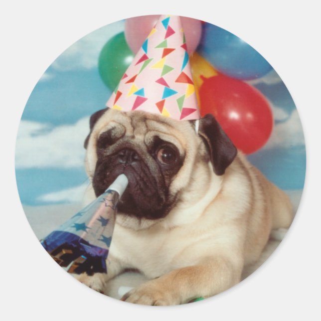 Geburtstag Mops Stickers (Vorderseite)