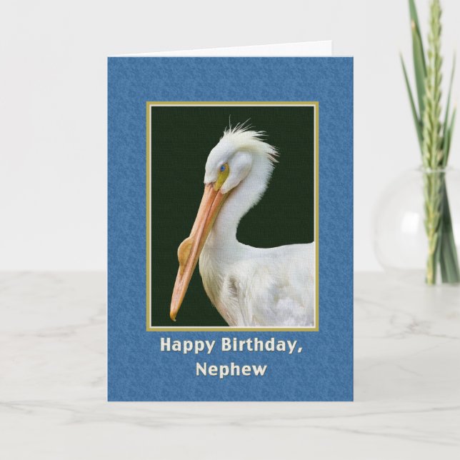 Geburtstag, Nephew, Weißer Pelikanischer Vogel Karte (Vorderseite)