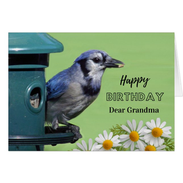 Geburtstag Oma Blauhäher am Vogelfutterhaus Gänseb (Vorderseite (Horizontal))
