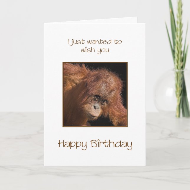 Geburtstag, Orang Utan Karte (Vorderseite)