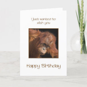 Geburtstag, Orang Utan Karte