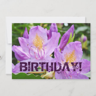 GEBURTSTAG! Party Einladungen Lila Rhodies-Blume