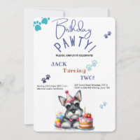 Geburtstag Pawty Miniature Schnauzer Hund Geburtst