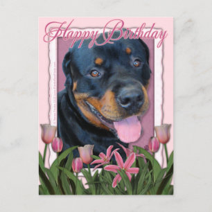 Geburtstag - Pink Tulips - Rottweiler - Harley Postkarte
