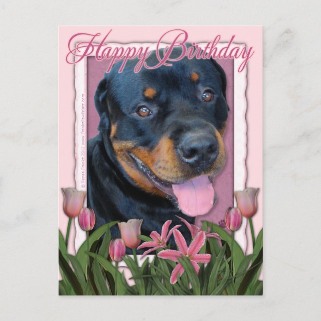 Geburtstag - Pink Tulips - Rottweiler - Harley Postkarte (Vorderseite)