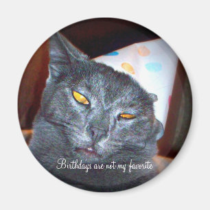 Geburtstag Pooper Magnet