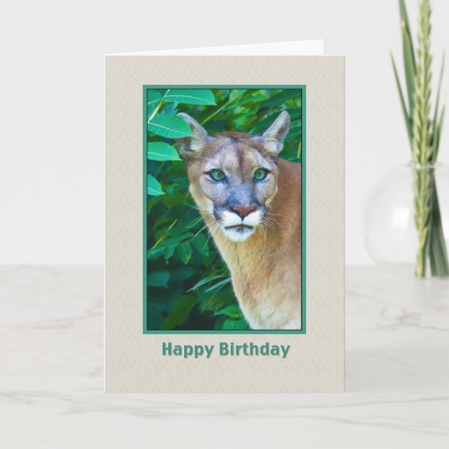 Geburtstag, Puma in der Dschungel-Karte Karte (Vorderseite)