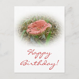 Geburtstag Rosa Pilz Postkarte