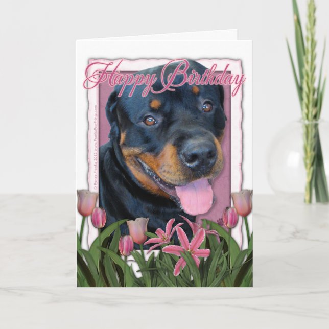 Geburtstag - rosa Tulpen - Rottweiler - Harley Karte (Vorderseite)