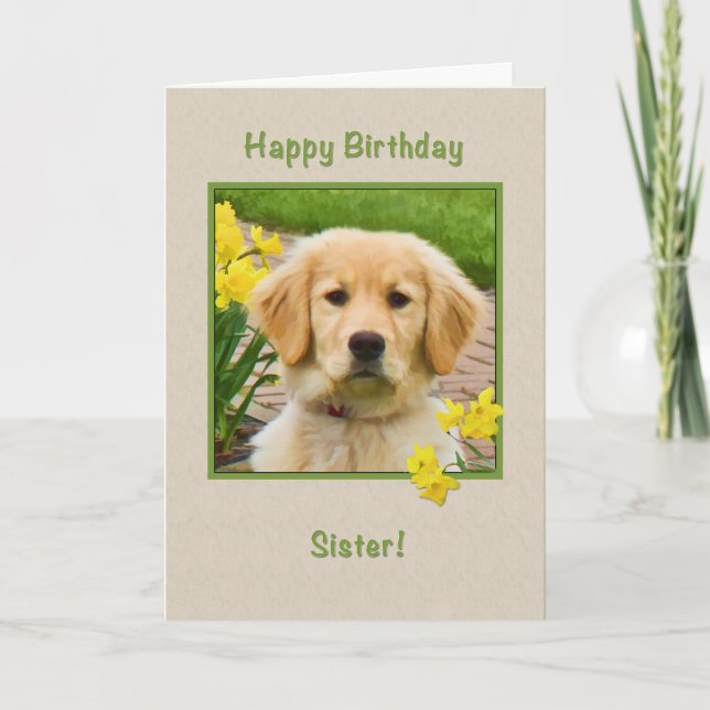Geburtstag, Schwester, Golden Retriever Dog, Affod Karte (Vorderseite)