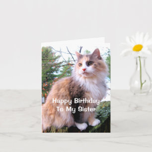 Geburtstag Schwester Katze mit bunt getigertem Fel Karte