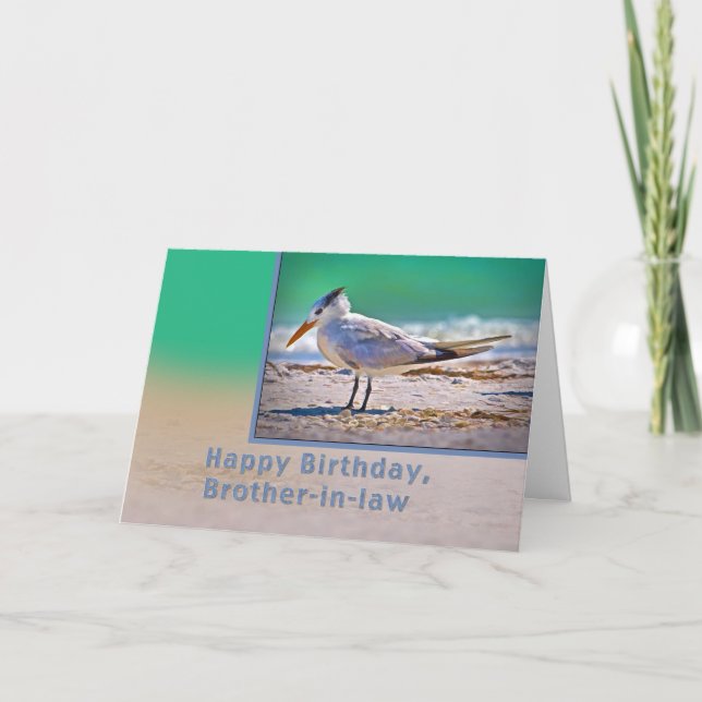 Geburtstag, Schwiegerbruder, Royal Tern Bird Karte (Vorderseite)