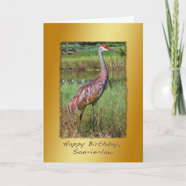 Geburtstag, Schwiegersohn, Sandhill Crane Bird Karte (Vorderseite)
