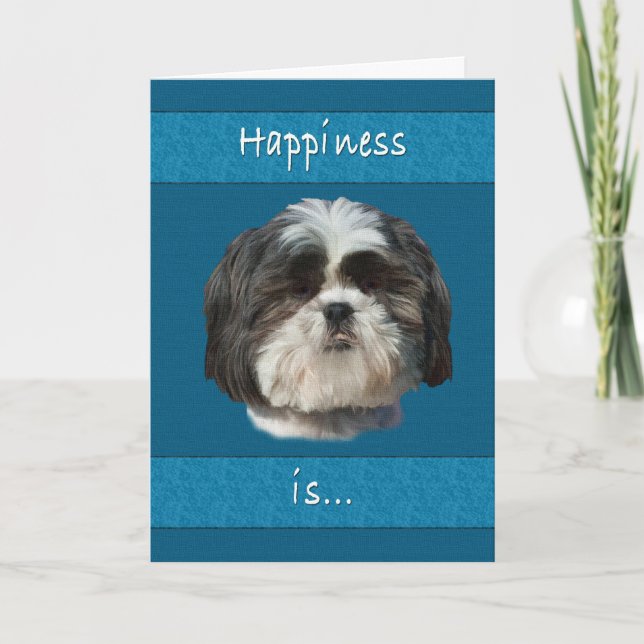 Geburtstag, Shih Tzu Dog Karte (Vorderseite)