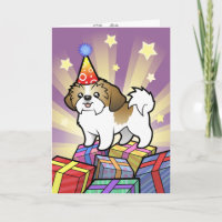 Geburtstag Shih Tzu (Welpenschnitt)