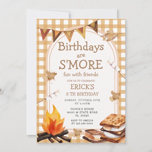 Geburtstag sind S'mores Fun Campfire Gingham Einladung (Vorderseite)