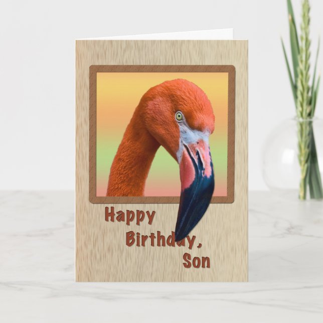Geburtstag, Sohn, Flamingo Bird Karte (Vorderseite)