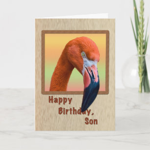 Geburtstag, Sohn, Flamingo Bird Karte