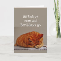Geburtstag Spaß 60. über dem Hügel verkleidete Kat