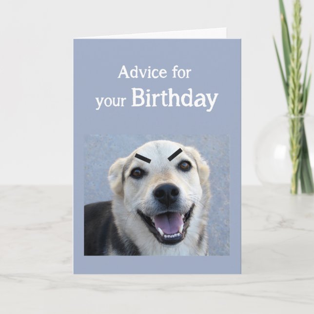 Geburtstag Spaß Niedlich Hund Neuer Trend Augenbra Karte (Vorderseite)