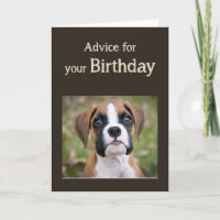 Geburtstag Spaß Niedlicher Hund Inspiration Spaß B