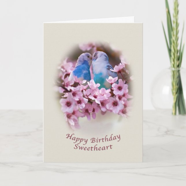 Geburtstag, Süße, Liebende Parakeets Karte (Vorderseite)