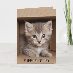 Geburtstag Tabby Kätzchen in Karton Karte