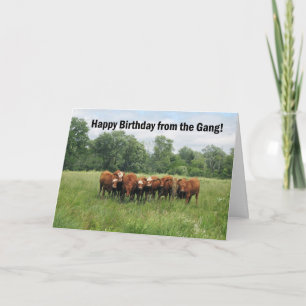 Geburtstag von der Gruppe Karte