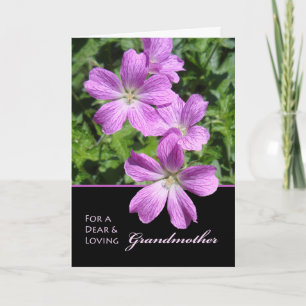 Geburtstag von Großmutter Cranesbill Geraniums Karte