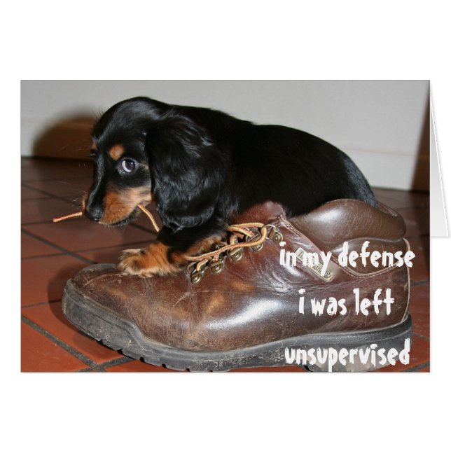 Geburtstag von Hund Welpe Kauen Funny (Vorderseite (Horizontal))