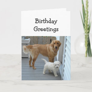 Geburtstag von uns beiden Goldenen Retriever Karte