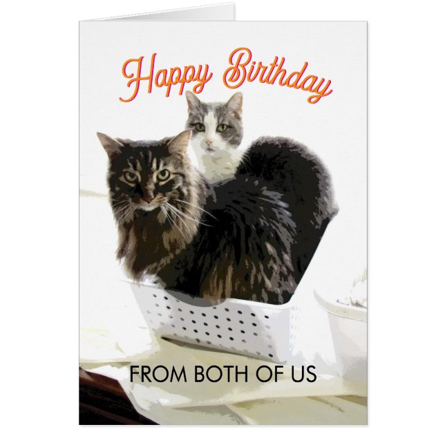 Geburtstag von uns beiden mit süßer Katzenkunst  (Vorne)