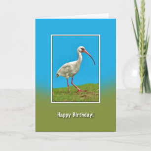 Geburtstag, White Ibis Bird Card Karte
