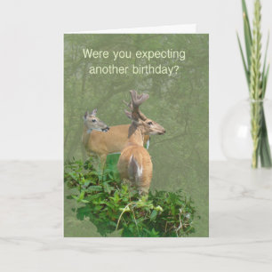 Geburtstag Whitetail Deer Buck & Doe Karte