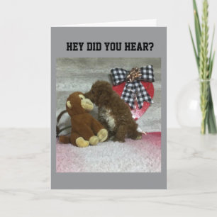 GEBURTSTAG WÜNSCHT JEMANDEM BESONDERS! KARTE