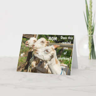 GEBURTSTAG WÜNSCHT MEINER MAMA AN DEINEM TAG! KART KARTE