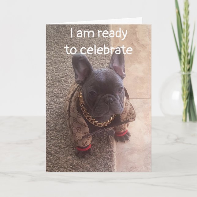 GEBURTSTAG WÜNSCHT VON EINEM COOLEN HUND KARTE (Vorderseite)