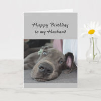 Geburtstag zu meinem Husband Fun Dog Relax Spaß