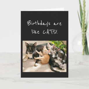 Geburtstage sind wie Katzen Tier Humor Karte