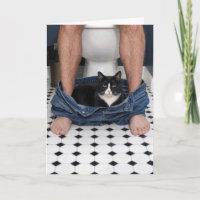 Geburtstags-Anzugkatze Lustiger Moment im Badezimm